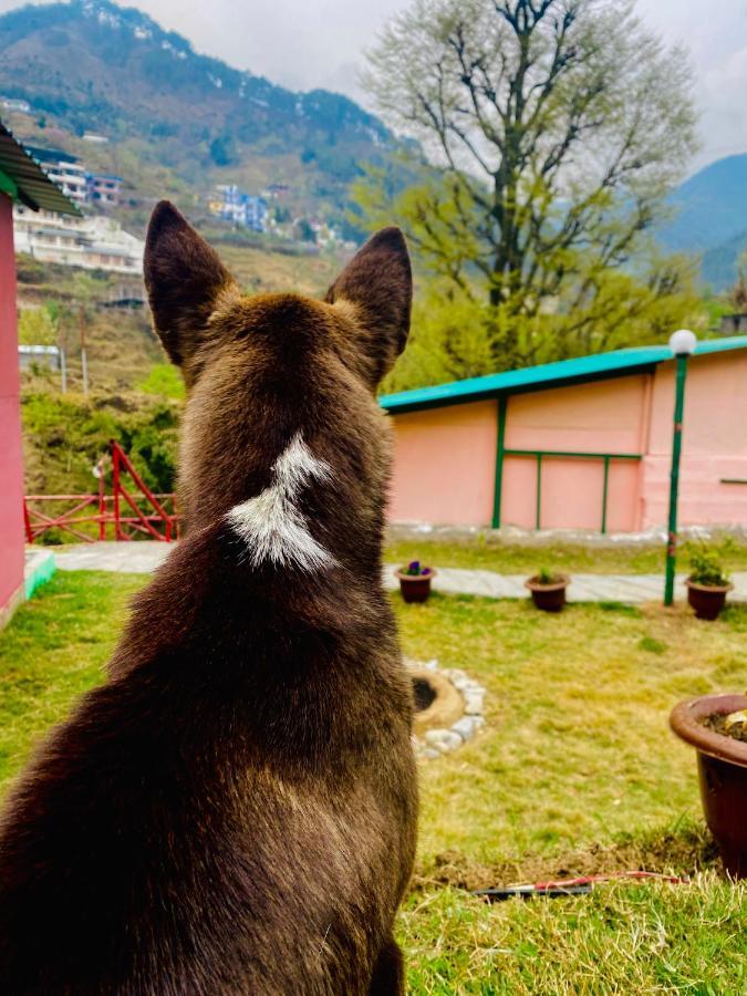 Airy Mussoorie Hostel Ngoại thất bức ảnh